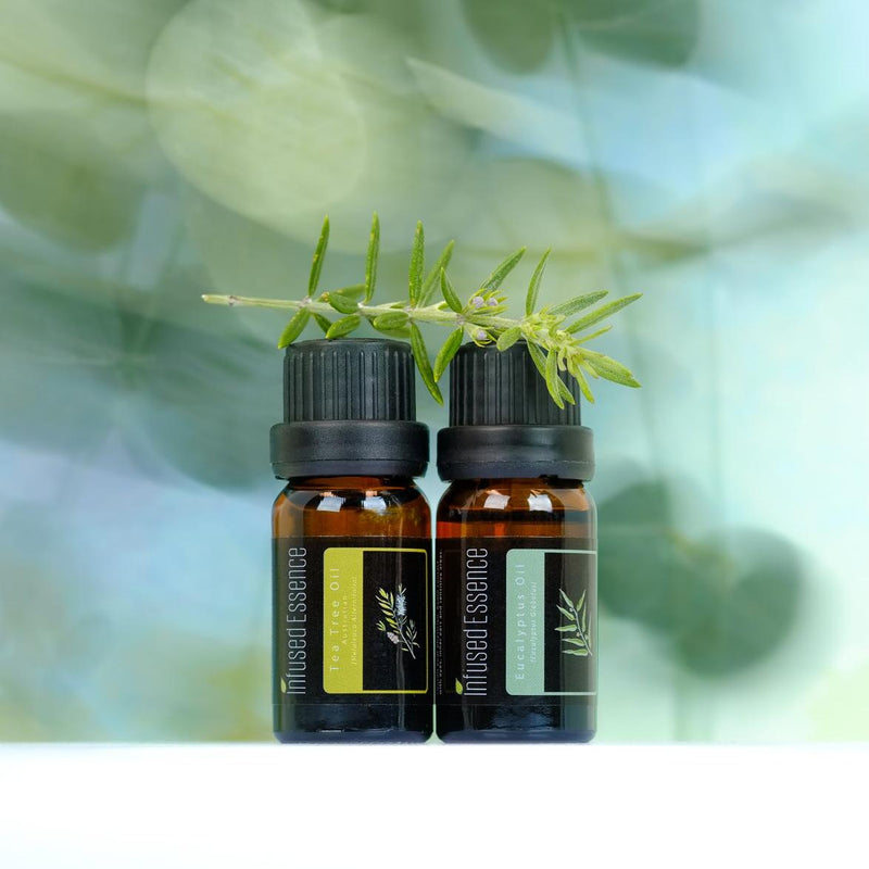 Eucalyptus